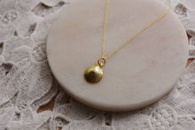 Load image into Gallery viewer, Gold Shell Necklace